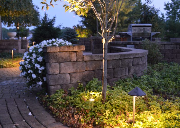 Illuminated garden lighting on tree and garden