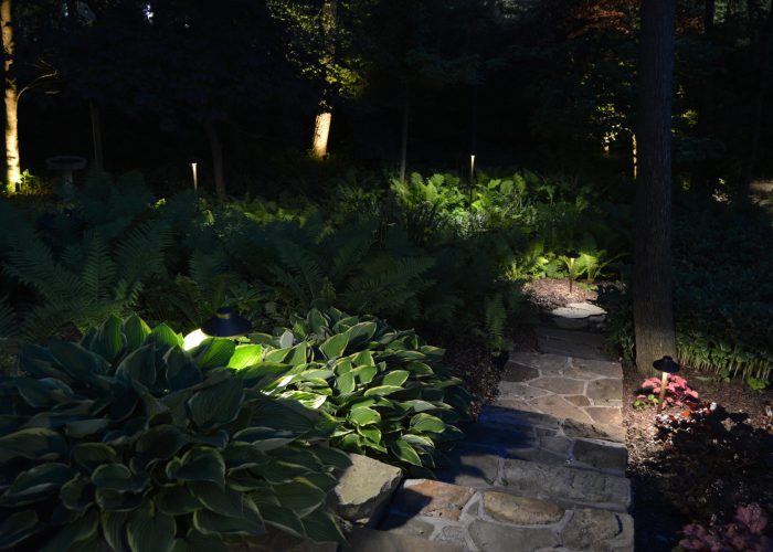 Illumintated garden area with light fixtures