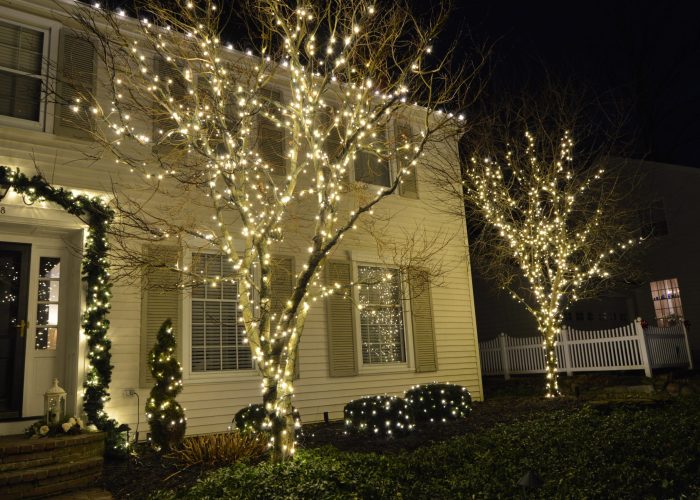 A white house with holiday lighting on trees and shrubbery