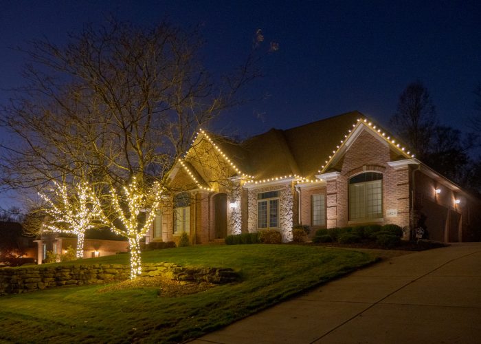 Tightly wrapped lit trees